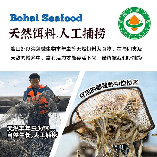 有机生态虾|活动锁鲜干净虾线肉质紧实Q弹生鲜熟虾（夏季加冰） 商品图3