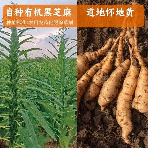 【谦益】九蒸九晒地黄芝麻丸115g 商品图5