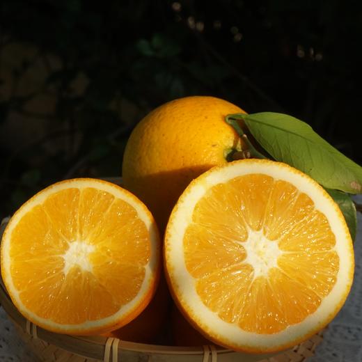 010脐橙果酱 天然果香 原料放心 不添加果胶防腐剂 放心吃 低温慢熬 酸甜可口 商品图8