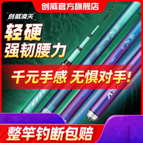 创威凌天二代小大综合钓鱼竿手杆鱼竿超轻硬碳素鲫鱼竿钓鱼台钓竿