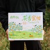 【巅果演义】花香蜜柑 咬一口就像在喝柑橘味果冻 商品缩略图1