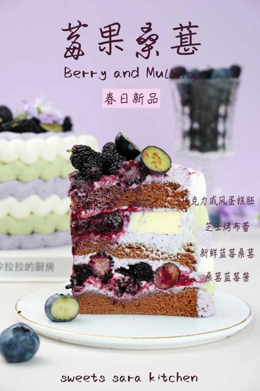 莓果桑葚 商品图8