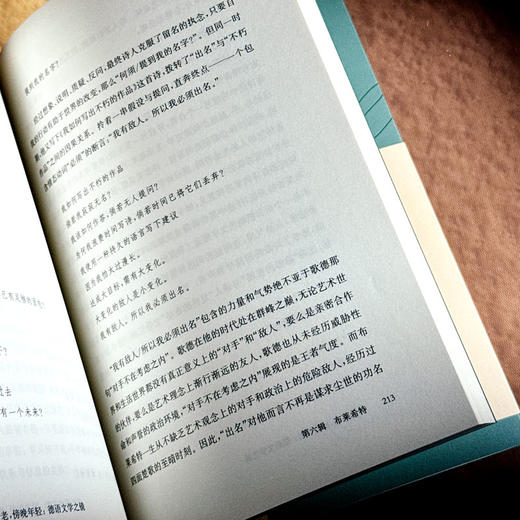 早上苍老 傍晚年轻 德语文学之镜 豆瓣2024年度译者黄雪媛首部文学随笔集 商品图13