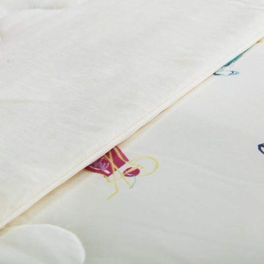 NITORI宜得利家居 夏季强凉感空调被抗菌防臭薄被子强冷感薄被 S26 商品图3