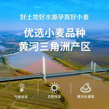 中裕面条 龙须挂面 山东面食细面条易煮白面400g*30袋速食早餐面24斤 /粮油调味 /挂面 /传统挂面 商品图3