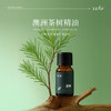 利芙耶 [一夜天亮精油套组]薰衣草茶树丝柏雪松檀木岩兰草 商品缩略图2