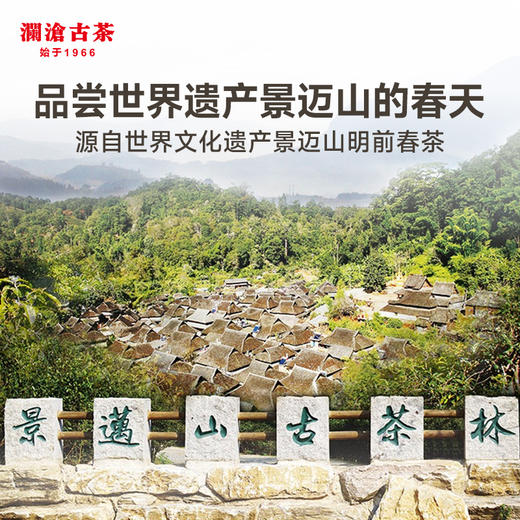 澜沧古茶2024年景迈春香普洱茶生茶小方片160g(4g*40) 商品图2