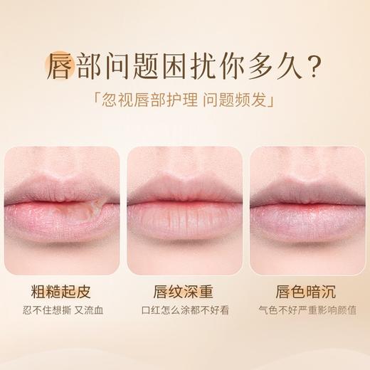 【2支领券到手价38元】德国 芭乐雅BALEA唇膏系列4.8g*2支 商品图4