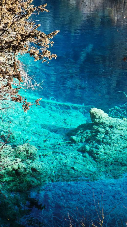 【五一华为专团】奢游成都+九寨+黄龙山水鉴赏5天4晚 商品图7