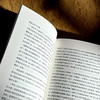 早上苍老 傍晚年轻 德语文学之镜 豆瓣2024年度译者黄雪媛首部文学随笔集 商品缩略图9
