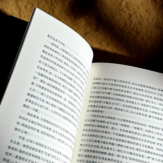 早上苍老 傍晚年轻 德语文学之镜 豆瓣2024年度译者黄雪媛首部文学随笔集 商品图9