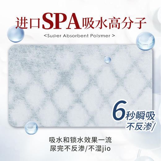 kojima宠物尿垫猫咪用加厚除臭吸水隔尿片尿不湿泰迪狗狗尿布厕所 商品图2