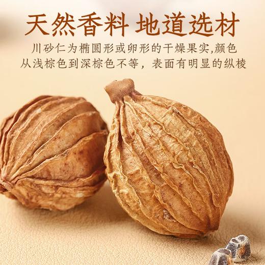 【SF】砂仁 厨房调味品 商品图1