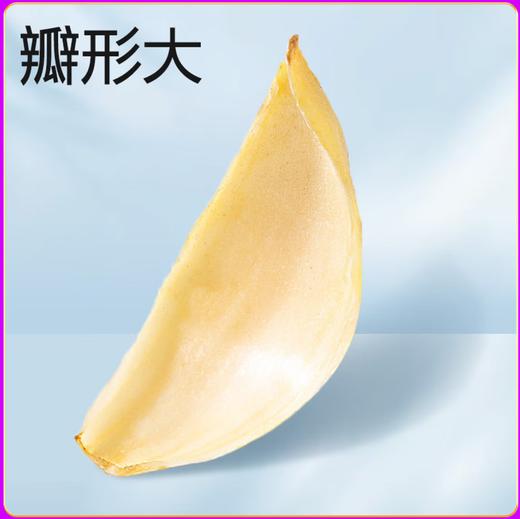 【YC】干货百合 商品图2