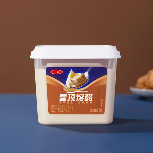 【快递到家-低温】三元雪凝炭烧奶皮子酸奶盒装800g*2 商品图4
