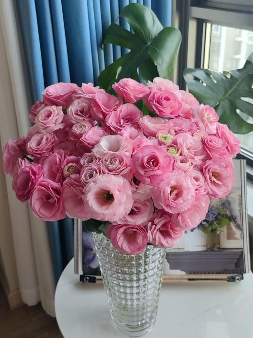 【稀有洋桔梗.双倍满足】奶黄洋桔梗7-10朵+粉色系洋桔梗8-10朵/份 商品图1