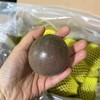 （包邮）苮食～蜜桃百香果【大果 净重约2斤】~它可不是普通红百香果！切开就是一兜汁水，带着蜜桃的香味，香喷喷的，甜多一丢丢的酸，比黄金百香果还要好吃，超级推荐！ 商品缩略图4