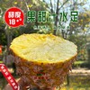 【广垦优品】广垦红星农场 | 红土金菠金钻凤梨 | 脆爽多汁 | 多规格选择 商品缩略图4