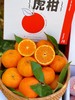 【云南高原虎柑】果肉细嫩化渣，瓤皮薄如蝉翼，补充维C不二之选-CC 商品缩略图9