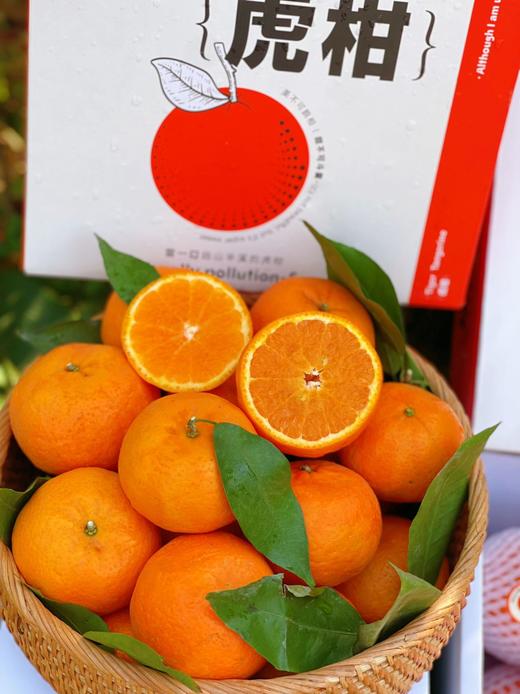 【云南高原虎柑】果肉细嫩化渣，瓤皮薄如蝉翼，补充维C不二之选-CC 商品图9