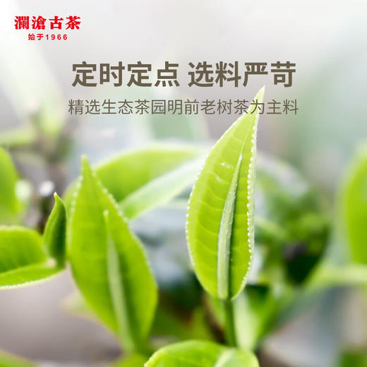 澜沧古茶2024年景迈春香普洱茶生茶小方片160g(4g*40) 商品图3