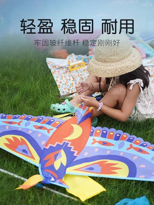 Djeco 儿童手持风筝 轻盈微风易飞耐用法系插画5岁+ 商品图1