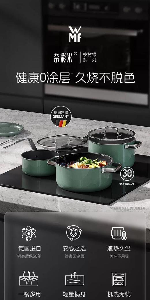 【6F】WMF德国原装进口奈彩米2.0汤锅（桉树绿） 商品图0