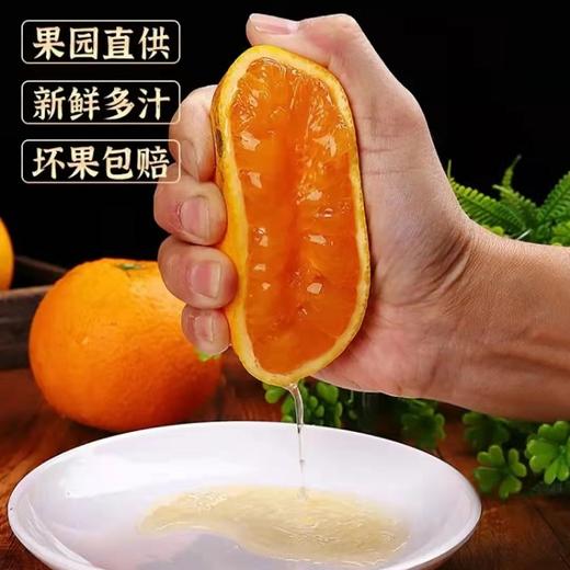 伦晚脐橙（多规格可选） 商品图2