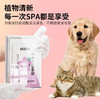 日本KOJIMA宠物免洗手套湿巾猫咪除毛狗狗除臭洗澡干洗清洁用品 商品缩略图2