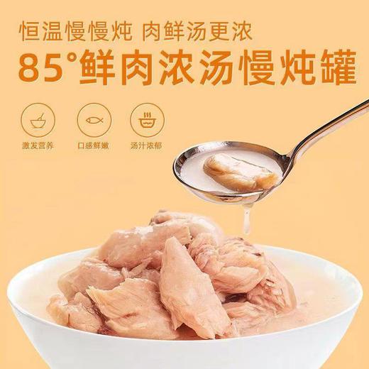 尾巴生活85°猫罐零食罐湿粮主食罐白肉浓汤补水增肥全阶猫咪罐头 商品图2