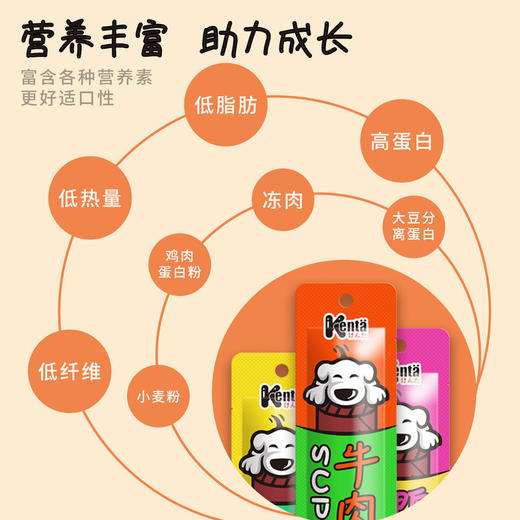 犬太狗狗壹级棒肉条零食犬用肉干成犬耐咬幼犬磨牙金毛泰迪牛肉条 商品图2