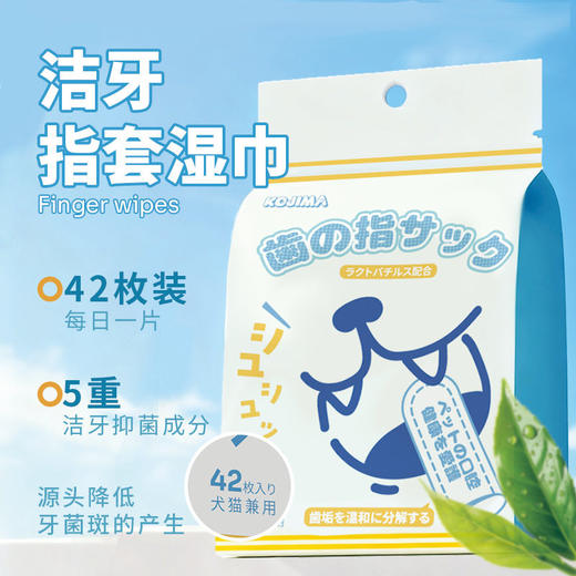 kojima宠物乳酸菌洁牙指套湿巾猫咪洁齿口臭牙齿狗狗口腔清洁刷牙 商品图0