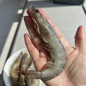 【原箱进口 厄瓜多尔南美白虾】（20-30大规格）净重3.3斤/盒 顺丰直发！