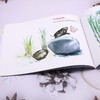 大橘去春游 商品缩略图3