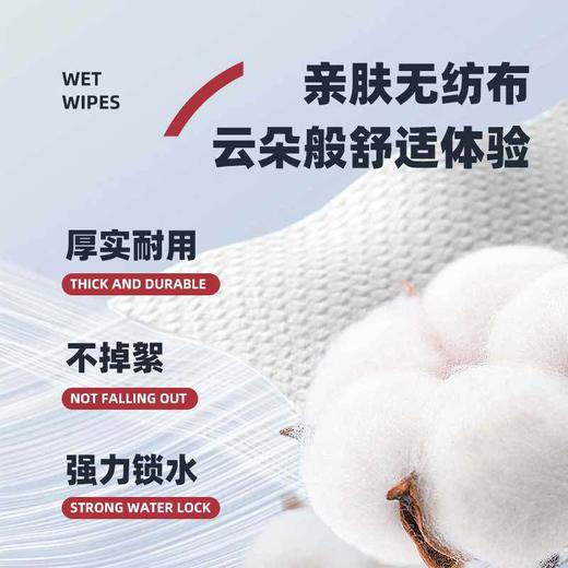 新款增量 日本KOJIMA宠物湿巾猫咪去泪痕湿巾100片狗湿巾清洁用品 商品图1