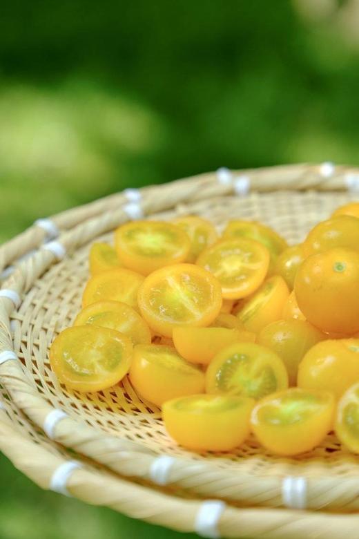 【黄色樱桃小番茄】口感正宗 酸甜多汁，果肉细腻，细腻的果肉咬一口，汁水四溢，夹杂着一丝丝酸味，回味香甜怡-CC 商品图13