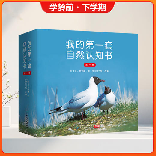 【步印·三个小小人读写馆】步印选书学龄前下学期 无痛幼小衔接包 商品图2