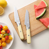 OTB星云乳酪黄水果刀 商品缩略图3