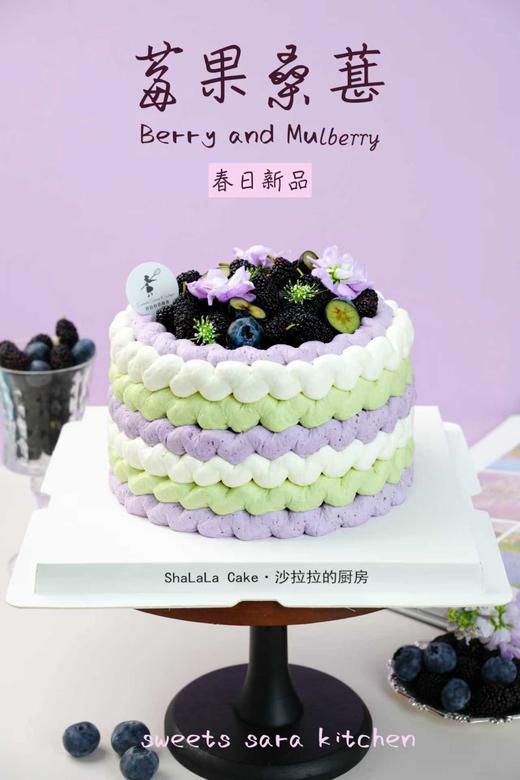 莓果桑葚 商品图0