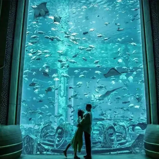 【迪拜•一日游】迪拜蓝水岛+棕榈岛观景台+失落的空间水族馆+朱美拉海滩一日游 商品图3