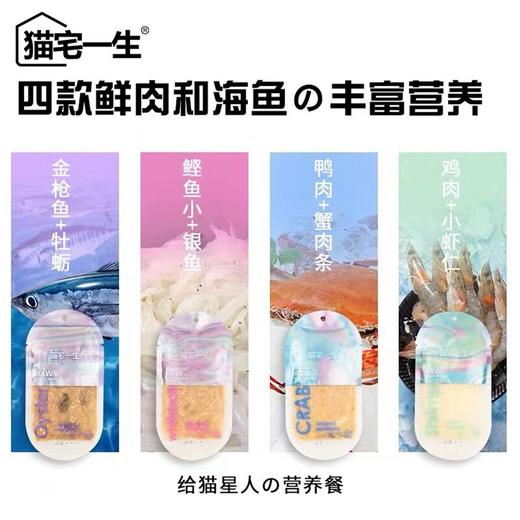 猫宅一生冻干水果泥液体杯彩虹猫条全价主食方砖MZ双拼罐头汤恩贝 商品图3