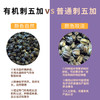 有机刺五加120g/罐 商品缩略图4