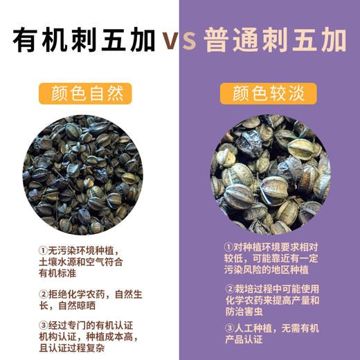 有机刺五加120g/罐 商品图4
