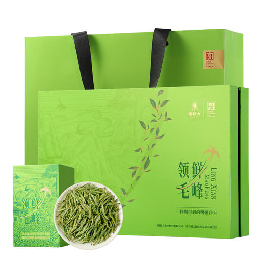 2026新茶上市谢裕大明前特级领鲜毛峰礼盒200g安徽黄山绿茶送礼推荐 商品图6