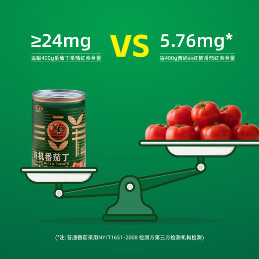 【新疆】25年新产季冠农有机番茄丁罐头 新鲜西红柿块番茄块果蔬罐头方便食品400g/罐 商品图5