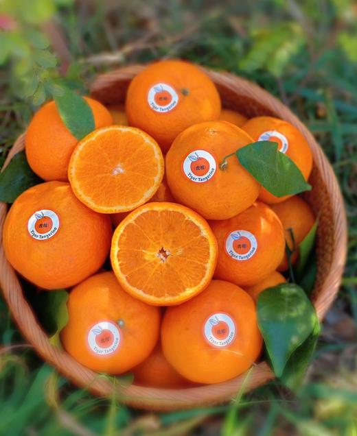 【云南高原虎柑】果肉细嫩化渣，瓤皮薄如蝉翼，补充维C不二之选-CC 商品图2