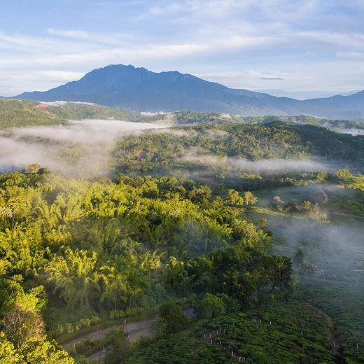 ClubMed 地中海俱乐部 沙巴度假村 商品图1