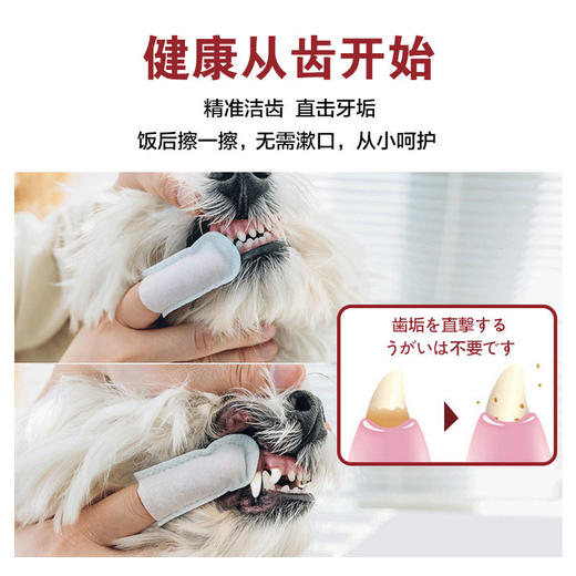 日本Kojima宠物洁牙指套牙刷湿巾猫咪狗狗改善口臭洁齿口腔清洁 商品图3