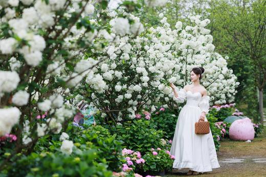 2026年春游季优待票40 商品图3