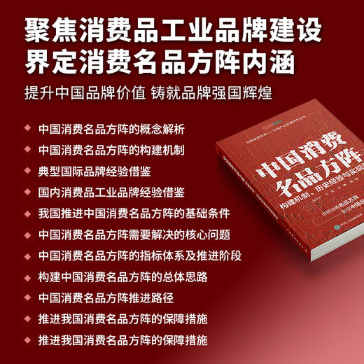 中国消费名品方阵：构建机制、历史经验与实现路径 品 建设消费升级政策研究案例实操书籍 商品图1